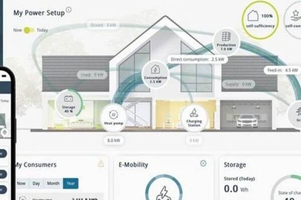 Who owns the data: monitoring and settlement for C&I storage