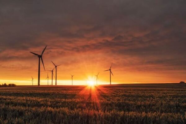 Dynamic tariff uptake in Germany passes another milestone