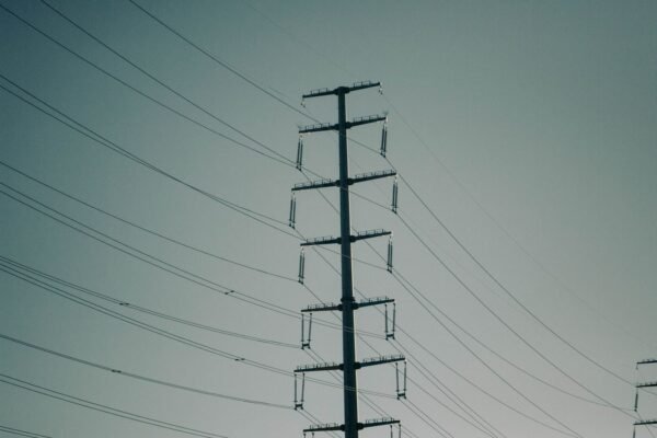 Europe’s home battery market splits as grid-scale storage surges ahead