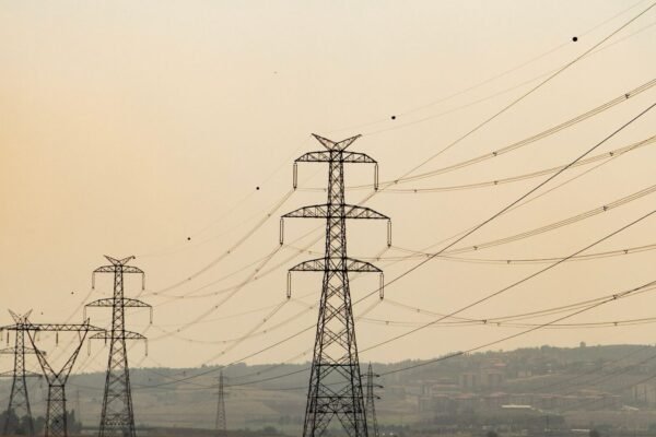 European home battery market shifts on sodium-ion, grid services